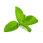 Presse spray buccal SalivaClean
partenaire